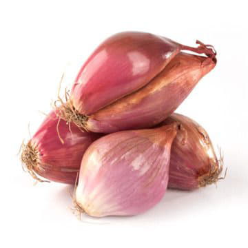 Лук-шалот Santreyd 2113 - Вид №1