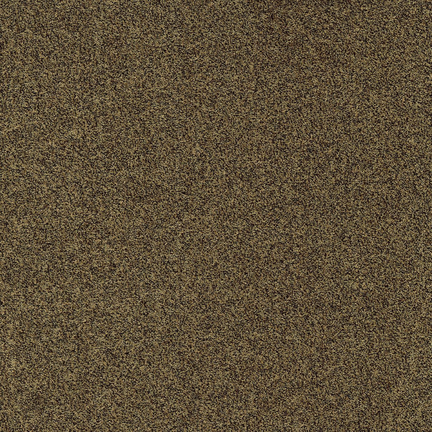 Сплошной ковер MODULYSS Delight ARCH-00141513 - Вид №7