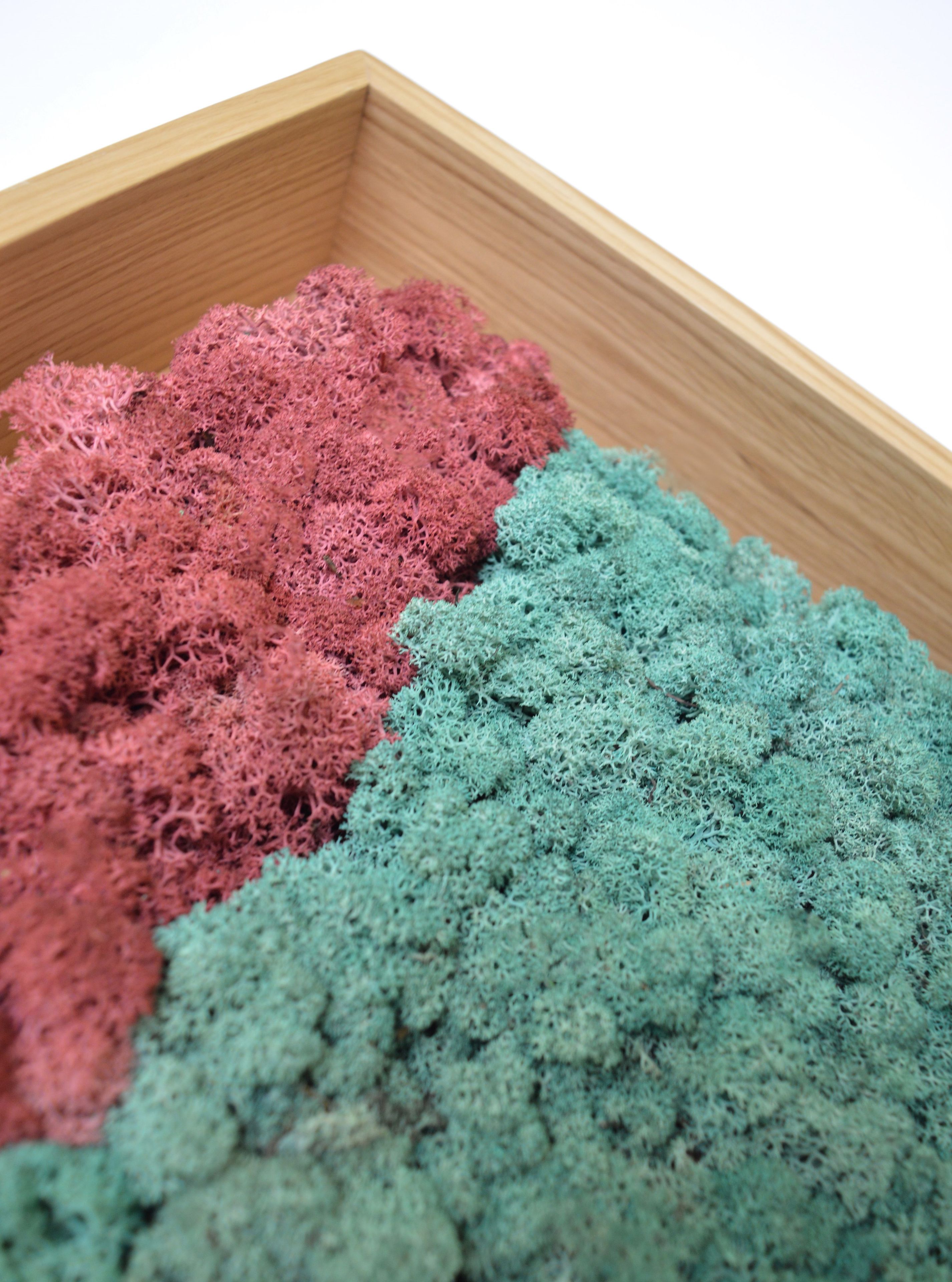 Акустическая панель из мха GREENMOOD FRAMED GEOMETRIC ARCH-00124960 - Вид №22