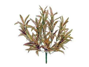 20.01161200YR Спайдер-драцена нежно-жёлто-зелёно-розовый куст Цветочная коллекция