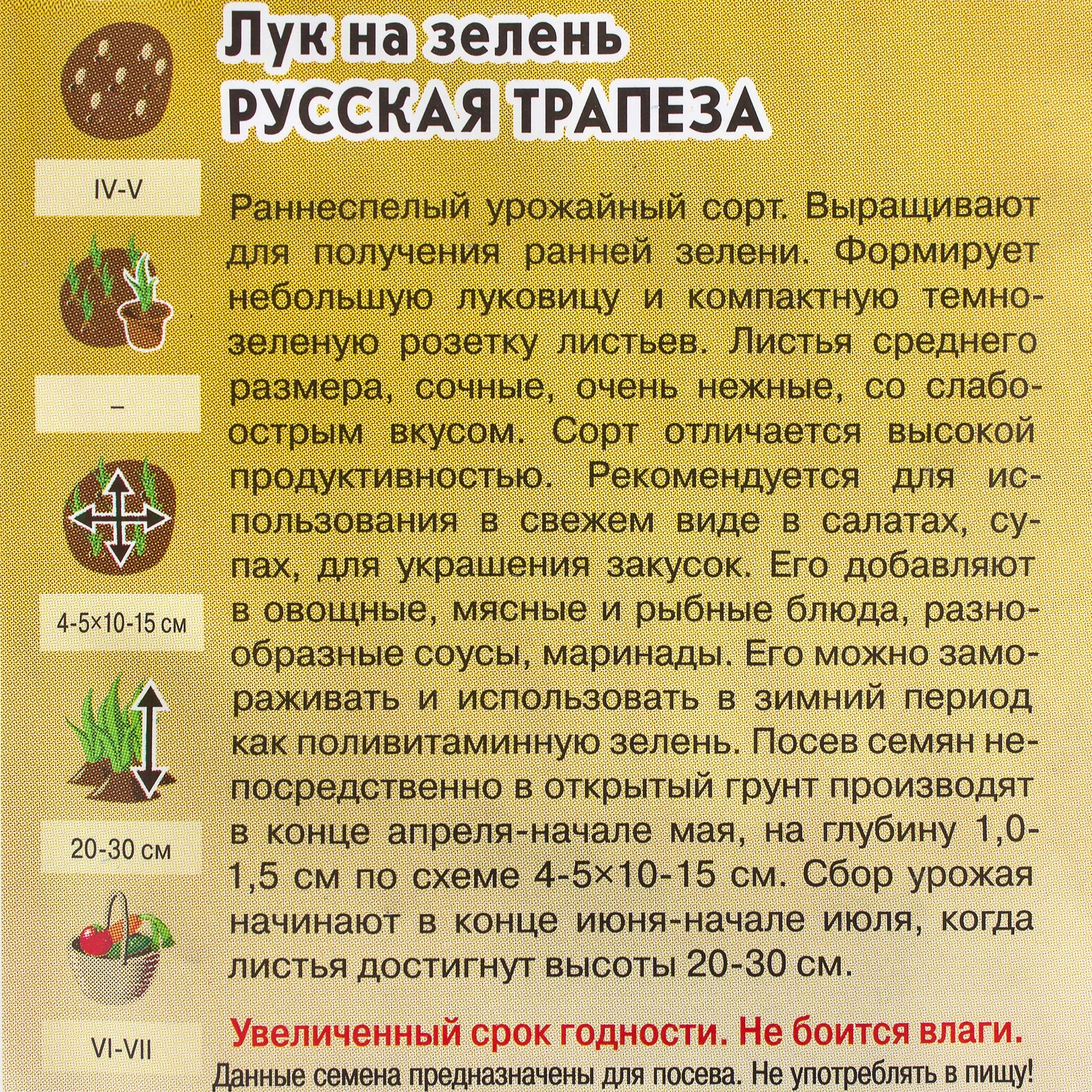 81933324 Семена Лук на зелень «Расская трапеза» 0.5 г Santreyd  - Вид №2