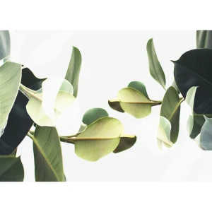 Картина на холсте Постер-лайн Листья 50x70 см