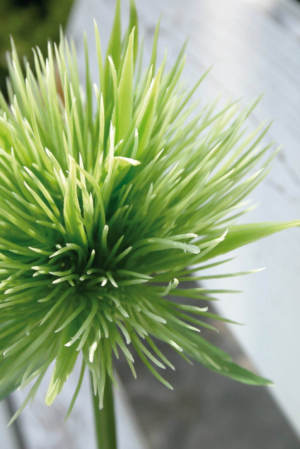 5851 883 a2 Искусственный ковыль китайский, 85 см, зеленый H-andreas  - Вид №5