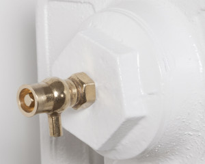 BWP041 Роскошный клапан для выпуска воздуха из латуни Сarronheating
