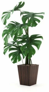 Laskasas Деревянная ваза