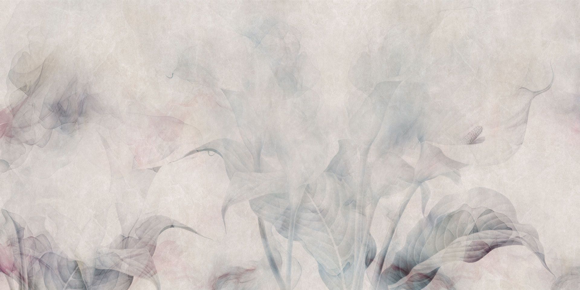 Обои Rimura ARUM LILY ARCH-00005923 - Вид №2