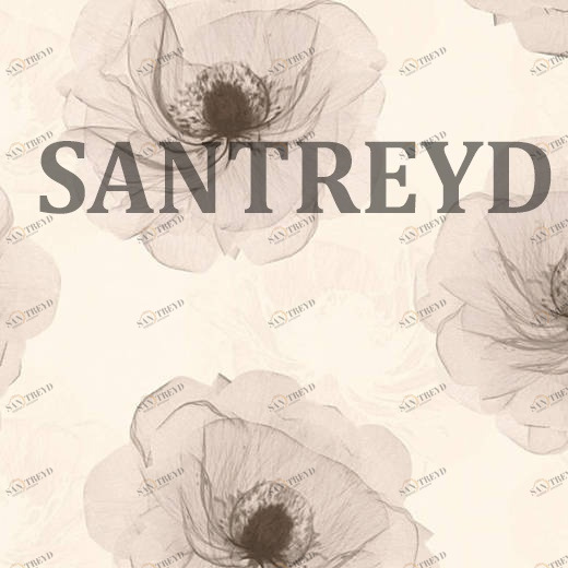 34274-2 Обои A.S. Creation X-Ray 342742