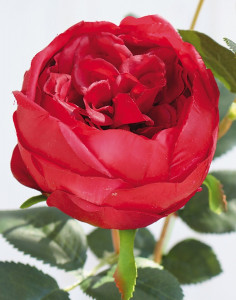 2592 444 a3 Ложная роза, 1 цветок, 2 бутона, 60 см, real touch soft, красная H-andreas