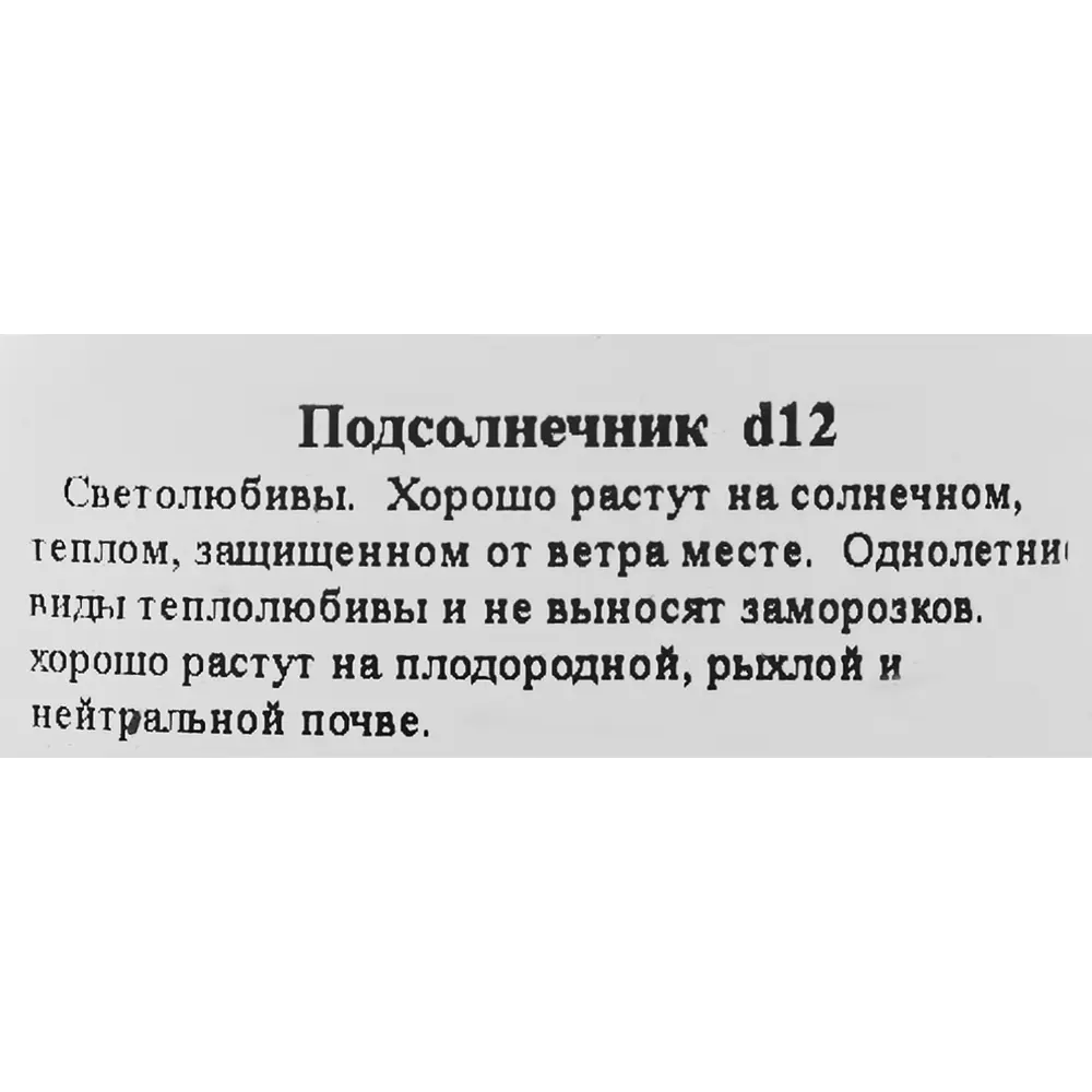 Подсолнечник низкорослый ø12 h25 см 83248450 STLM-2143531 Santreyd  - Вид №1
