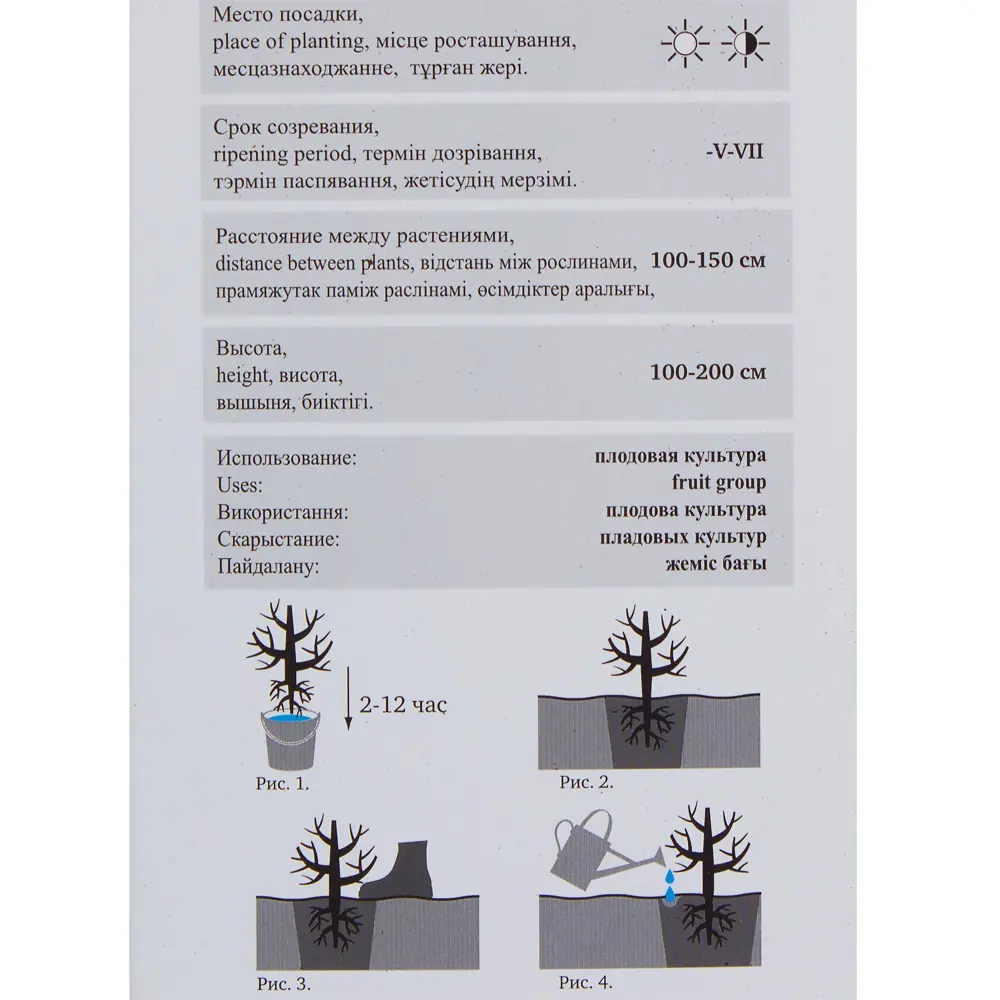 Жимолость «Бакчарский Великан» 81951323 STLM-2080557 Santreyd  - Вид №2