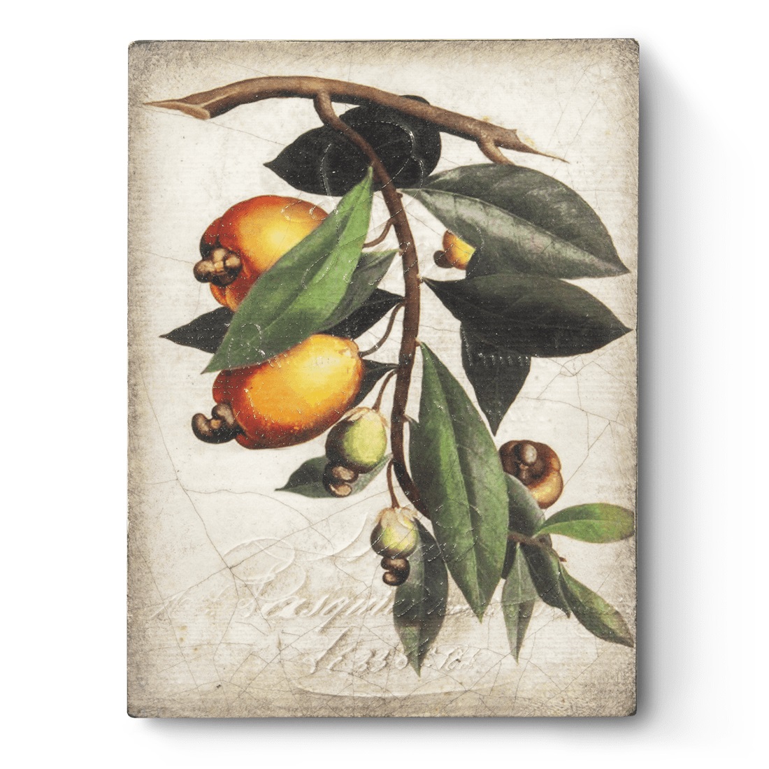 T-446 Плитка-панно 15/20/3 гипс, ручная работа SID DICKENS Santreyd 