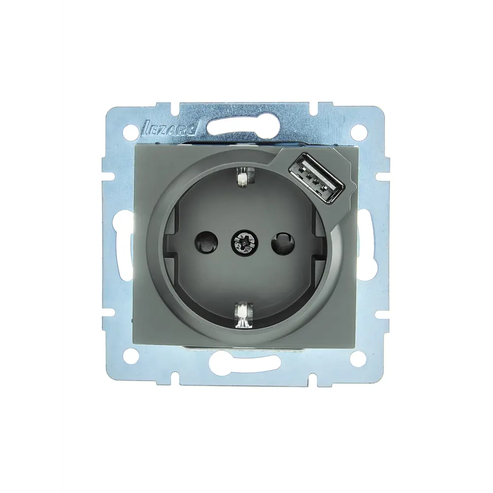 Розетка USB встраиваемая Lezard Asti с заземлением цвет платина 89385441 STLM-2098123