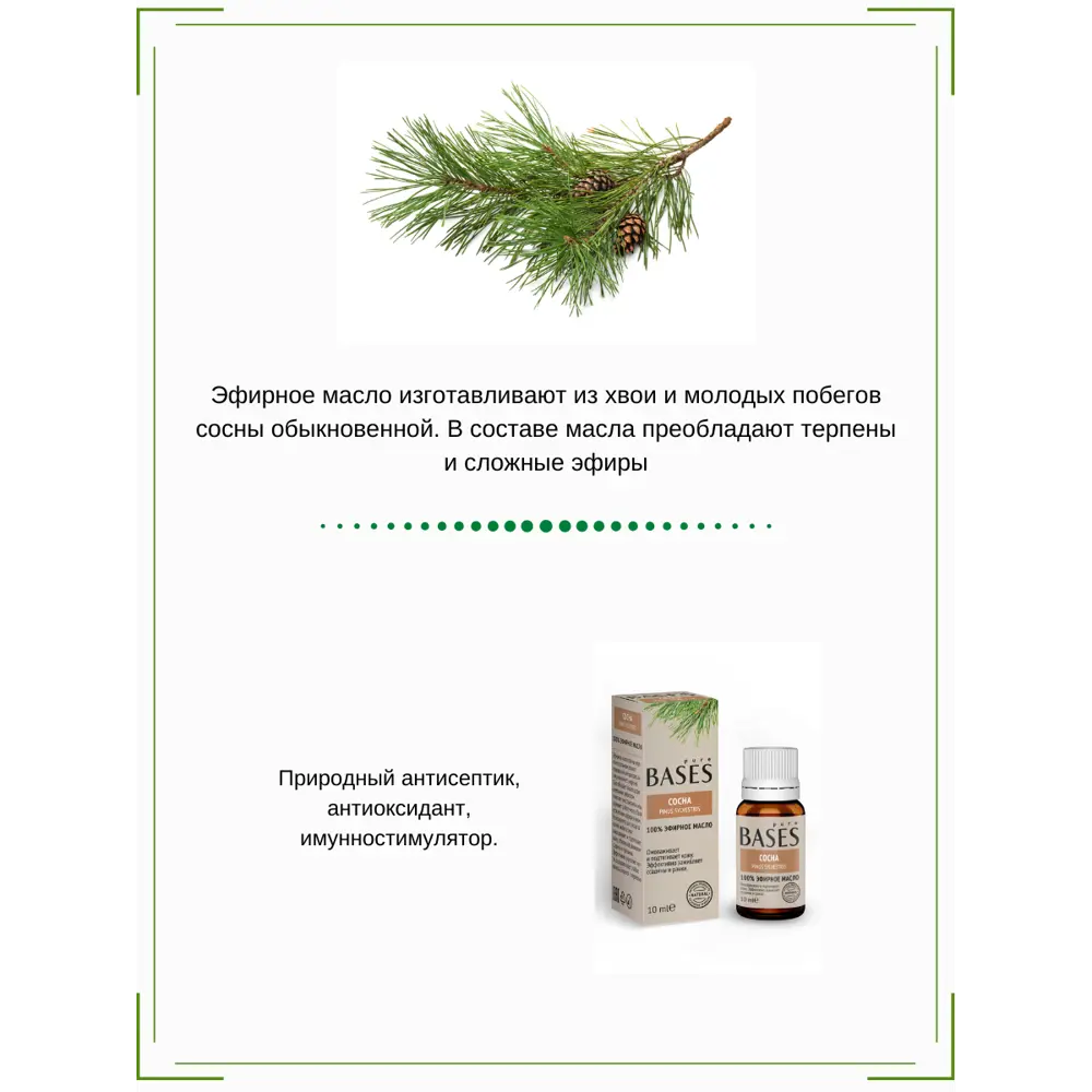 Масло эфирное для бани Доктор Баня Сосна 10 мл STLM-2056405 - Вид №3