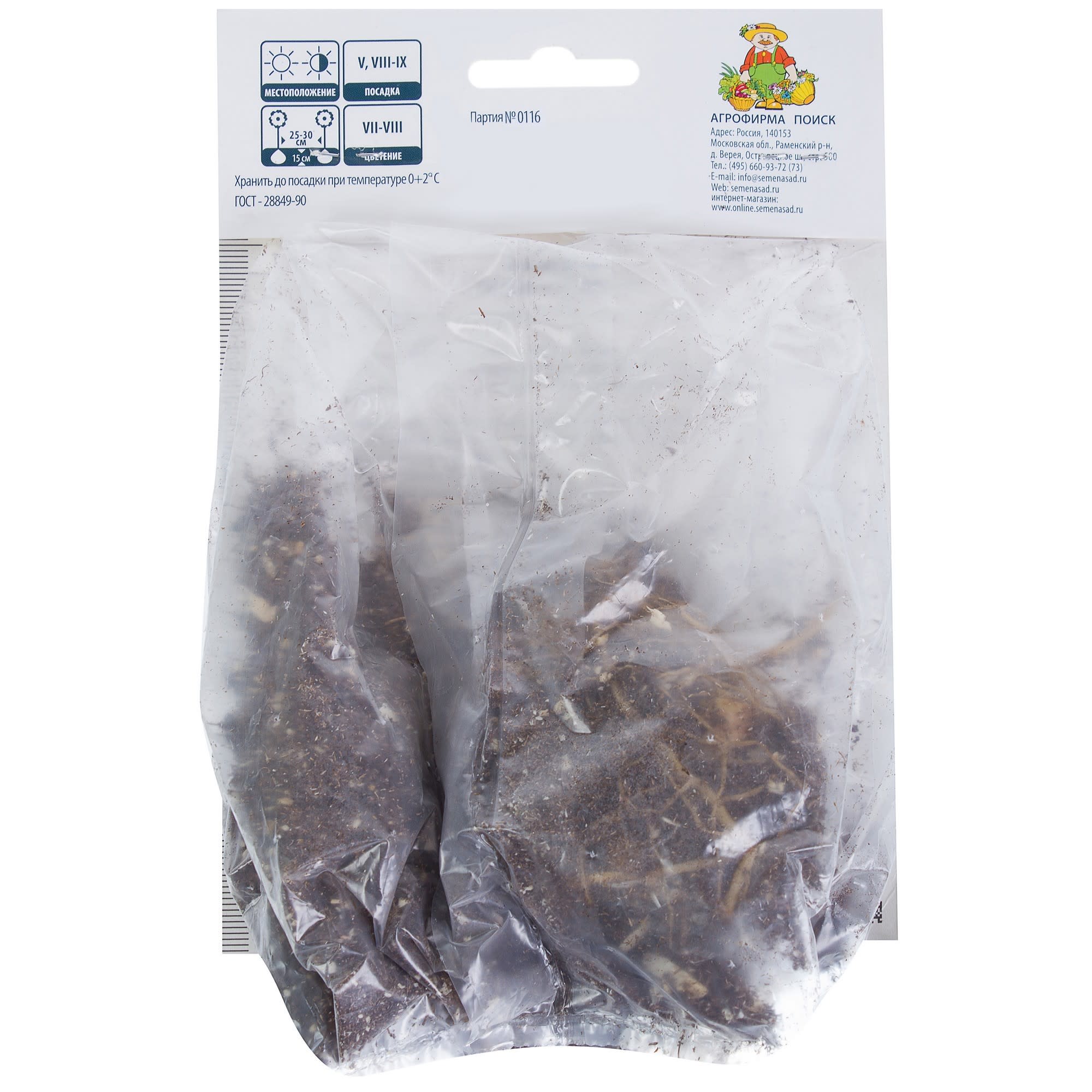 81945456 Лилия азиатская «Леди Элайн» Santreyd  - Вид №1