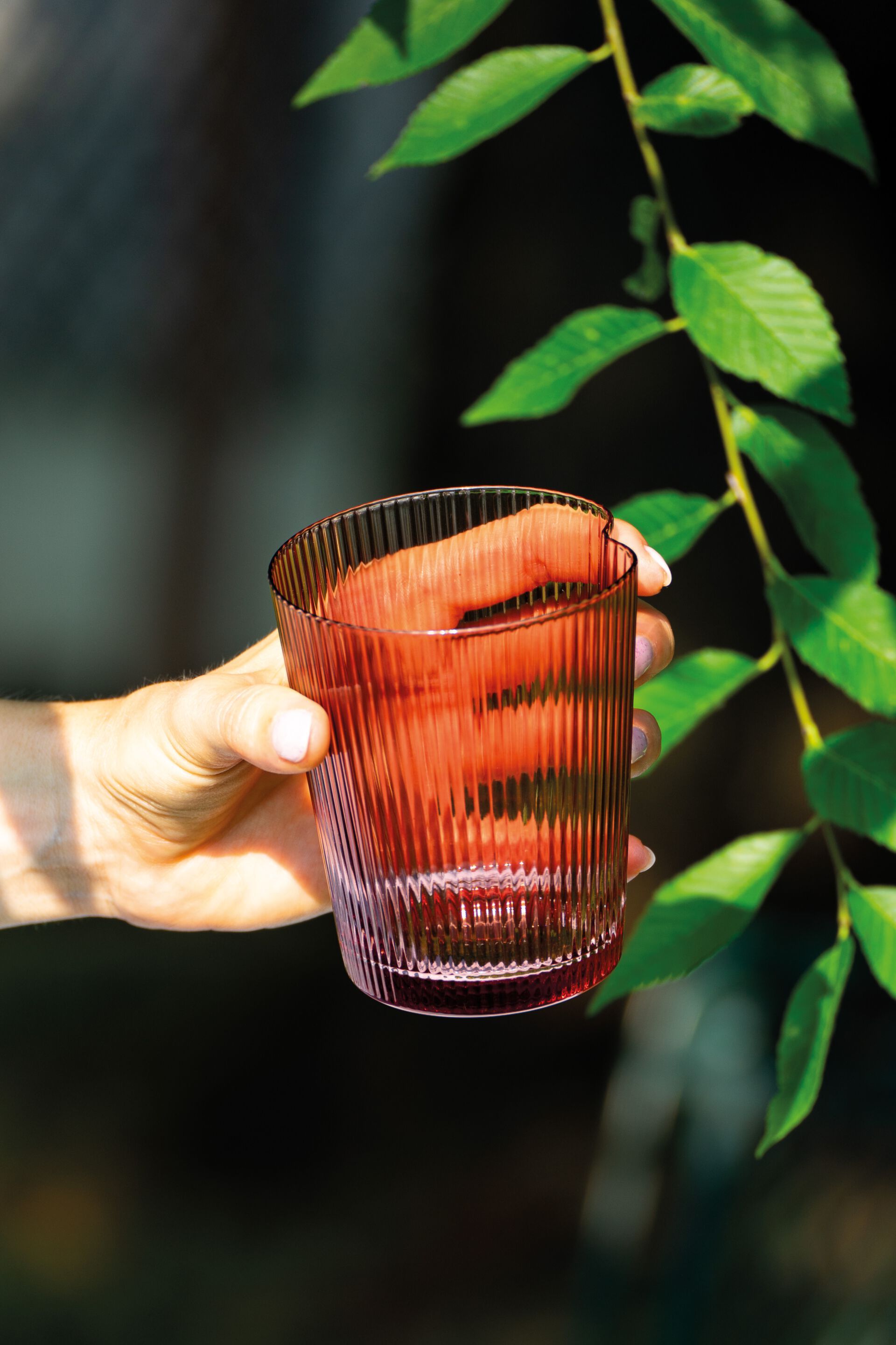 Стакан для воды из боросиликатного стекла Zafferano HANDY ARCH-00038067 - Вид №9