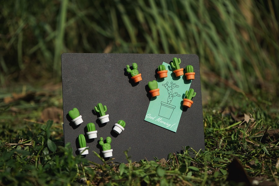 Магниты Cactus, 6 шт Qualy QL10288ORGN - Вид №7