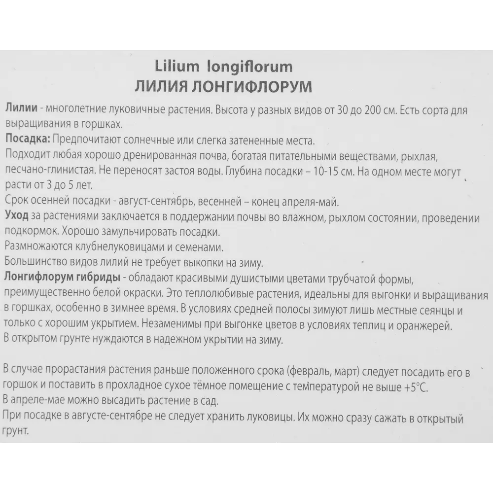 Лилия лонгифлорум Дивайн 85205735 STLM-2200168 ПОИСК  - Вид №2