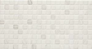Mosaico Blanco 25x50