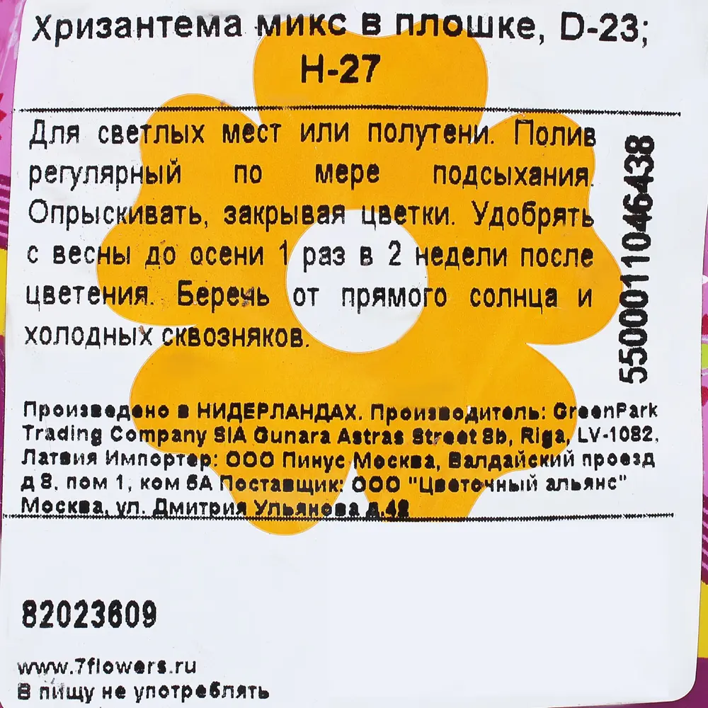 Хризантема микс ø23 h27 см 17699073 STLM-2123911 Santreyd  - Вид №3
