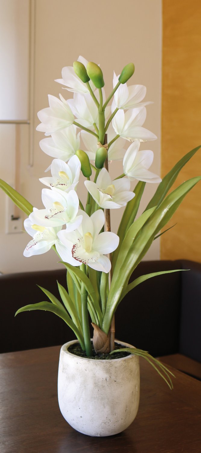 2532 778 a3 Пластиковая орхидея цимбидиум, горшок, 71 см, горшок, real touch soft, бежево-белый H-andreas  - Вид №13