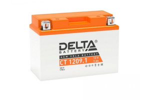 17972125 Аккумуляторная батарея CT 1209.1 DELTA