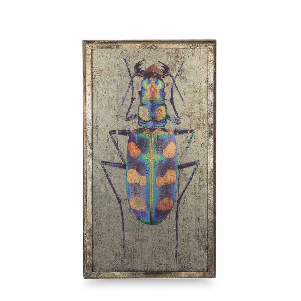 078485 Настенная панель с жуком Francisco Segarra Santreyd  - Вид №2