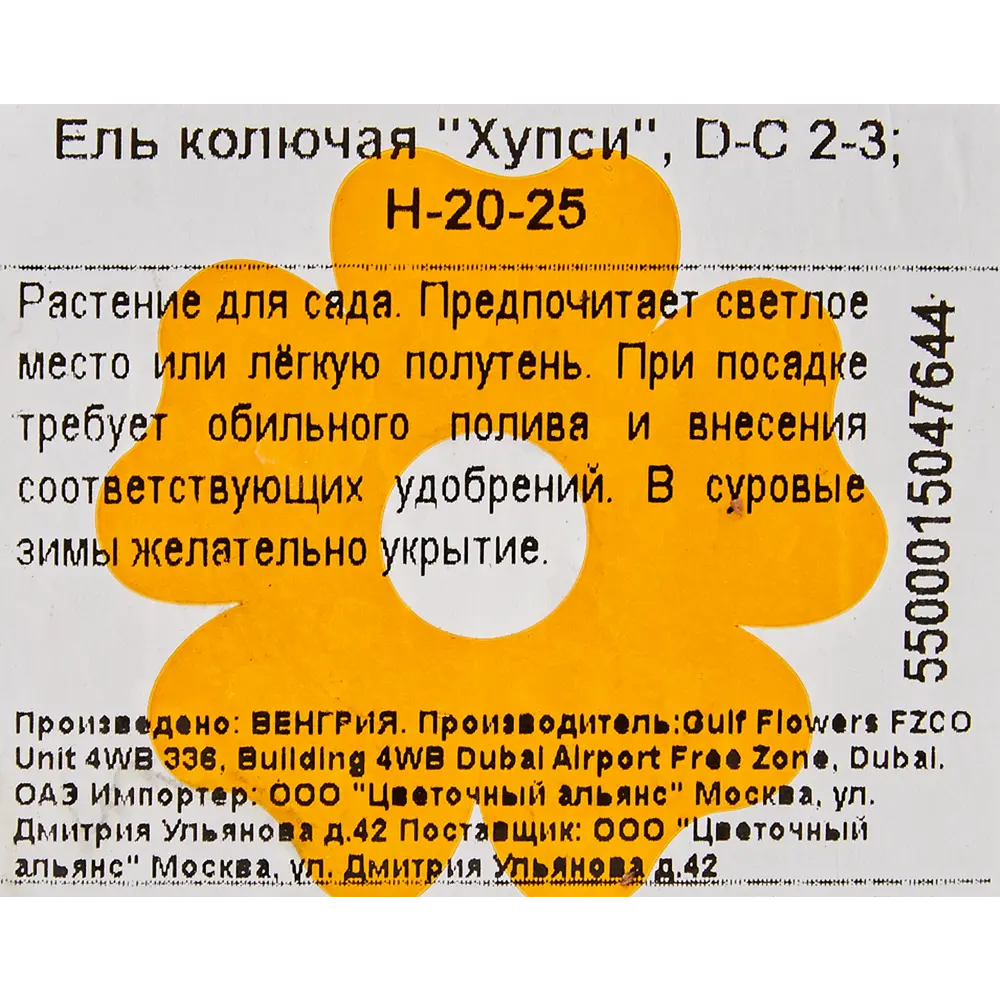 Ель колючая «Хупси» 17x20 см 82601626 STLM-2185131 Santreyd  - Вид №2