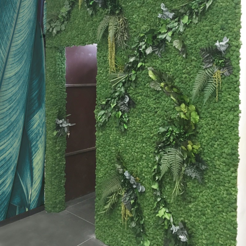 VER0005 Лишайник с листьями Adriani e Rossi  - Вид №2