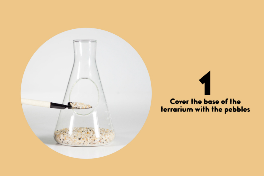 SK TERRCHEM1 Террариум chemistry Suck UK  - Вид №10