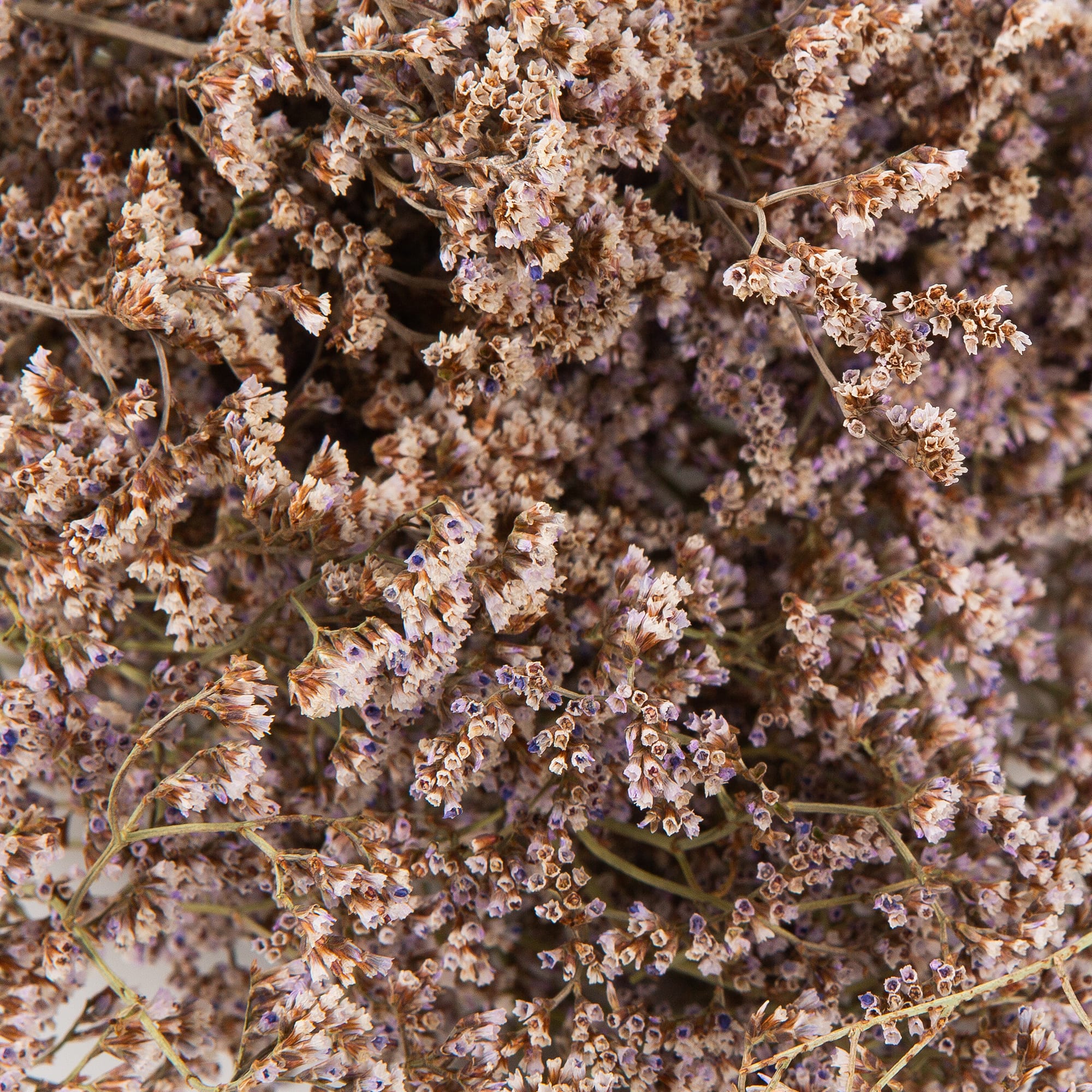 82355441 Букет из сухоцветов Лимониум Santreyd  - Вид №1