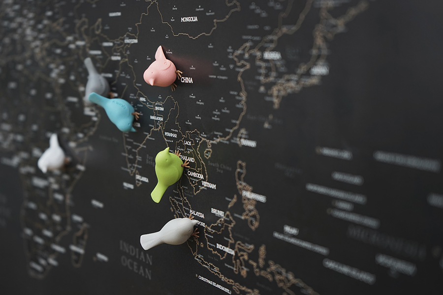 QL10258-PT Магниты на холодильник mini sparrow, 6 шт. Qualy  - Вид №3