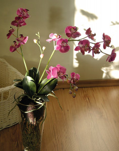 2579 420 a2 Пластиковая орхидея Phalaenopsis, ваза с водой, 80 см, real touch, вишня H-andreas