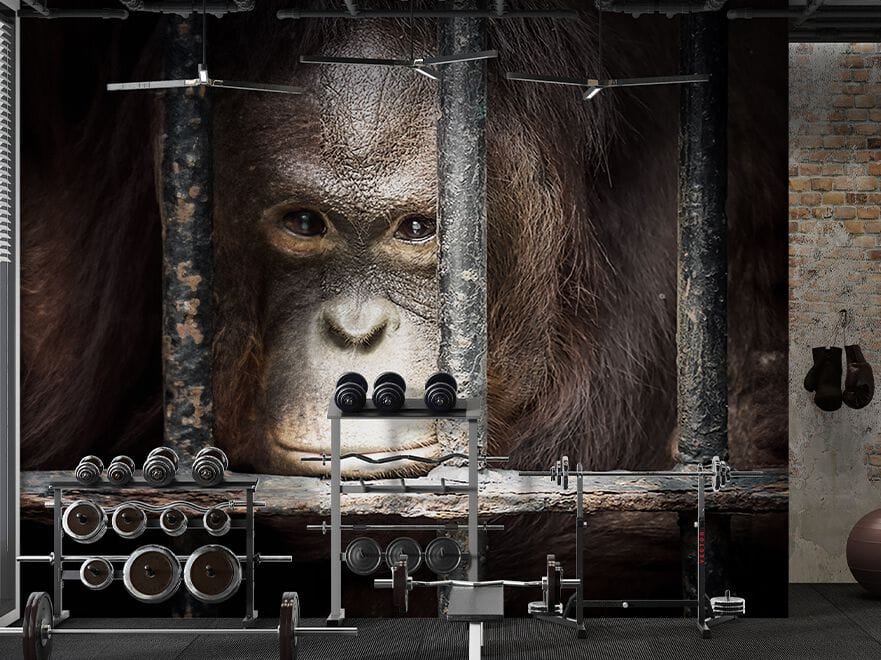 Обои Creativespace Prêt-à-porter ARCH-00072818