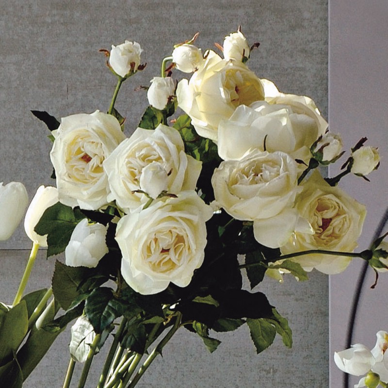 L23X9 Роза Флауэр Adriani e Rossi белый 