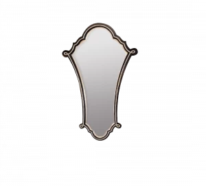 Gentry Home Адель Mirror hand carved wood frame Nero silver - черный лак GH102361