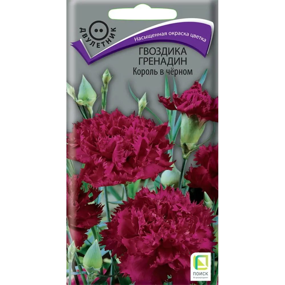 ПОИСК Гвоздика Шарм вайт - изящные белые цветы для сада и букетов 89401275 STLM-1564263