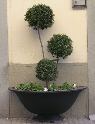 Чугунный плантатор Neri Salix ARCH-00026416 - Вид №5