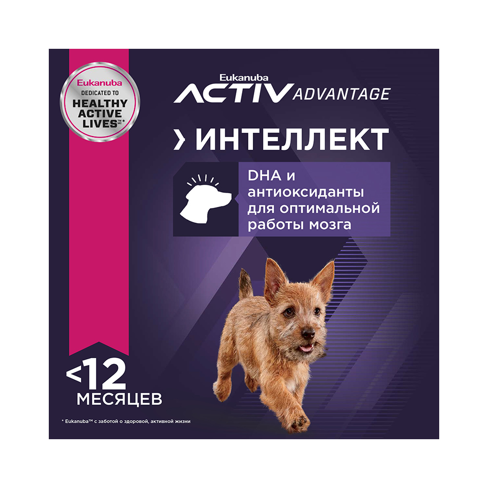 ПР0055341 Корм для щенков для мелких пород,птица сух.10кг Eukanuba  - Вид №4