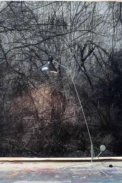 DCW éditions Регулируемый торшер Mantis sun-id-1451298 - Вид №6