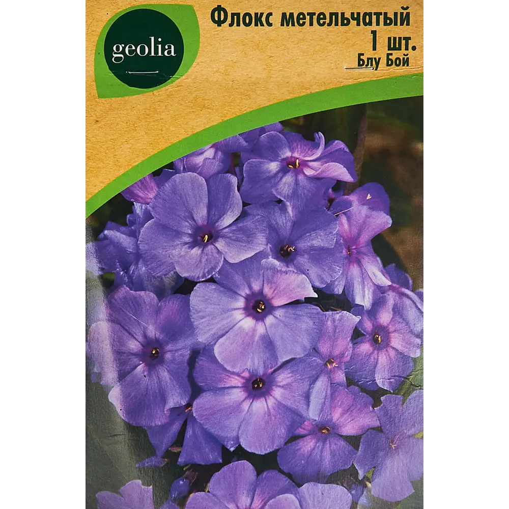 Флокс метельчатый Блу Бой 86408675 STLM-2163013 Santreyd 