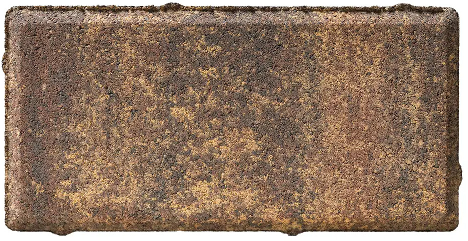 BRAER Плитка тротуарная Мальва 200x100 мм - яркий акцент для садовых дорожек 82770033