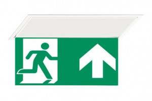 DST-3377 Hydra pennant Daisalux Светильники и спец. Белый