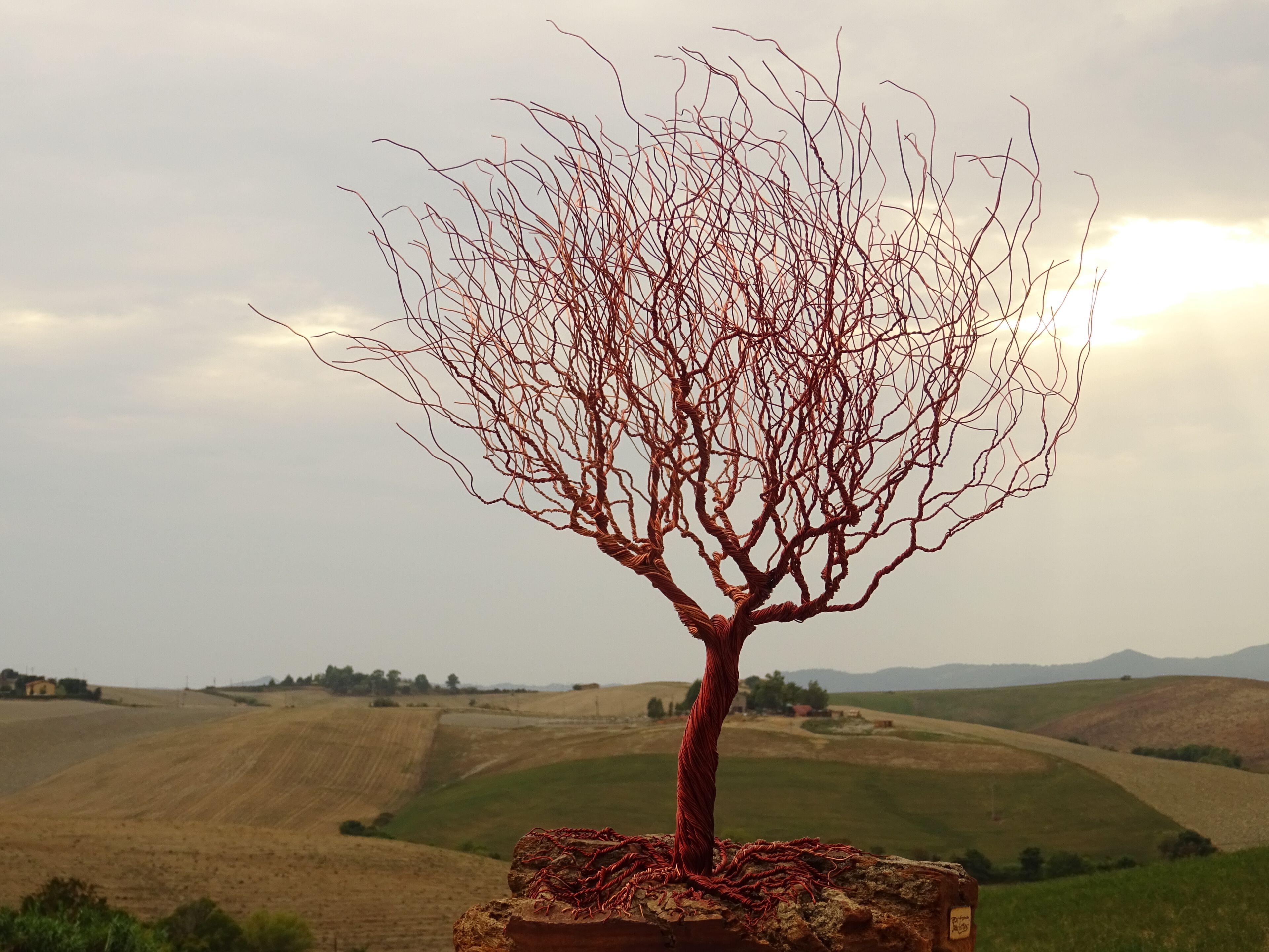 Скульптура из алюминия и оливкового дерева Mosche Bianche Zen Bonsai ARCH-00115115 - Вид №1