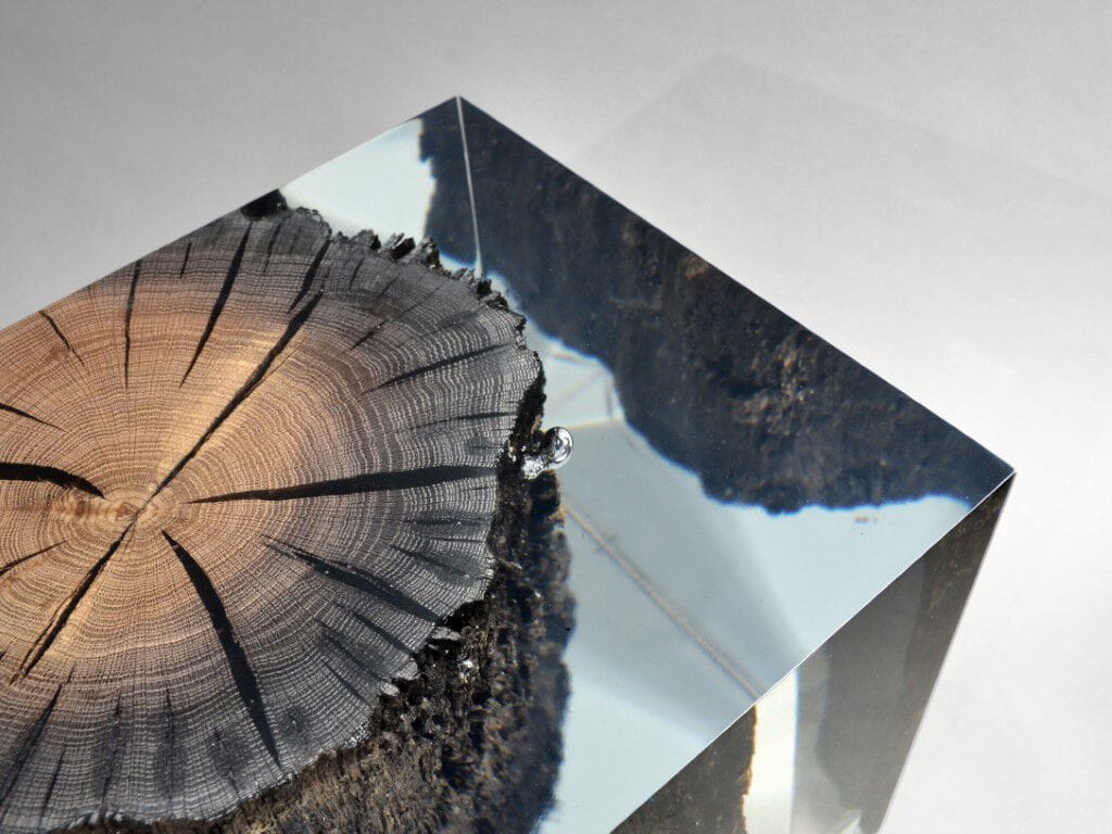 Журнальный столик / табурет alcarol Wetland ARCH-00051618 - Вид №6