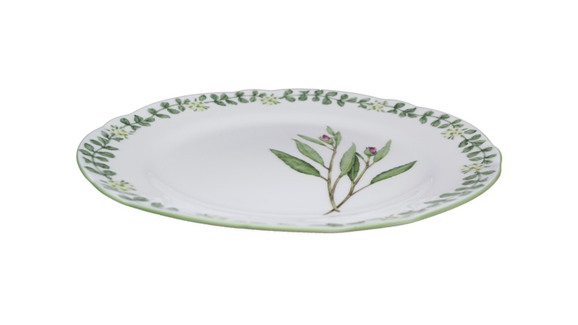 10665461 Noritake Набор из 6 тарелок обеденных Noritake "Английские травы" 27,5см Фарфор костяной  - Вид №2