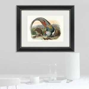 Литография на тонированной бумаге 42х52 см "Алмазный фазан, литография, 1843г" КАРТИНЫ В КВАРТИРУ  093798 Бежевый;белый;черный;разноцветный