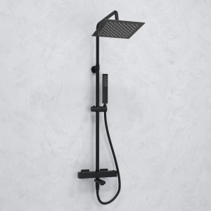 A299.255.218.BM Thermo Душевой комплект с термостатическим смесителем WasserKRAFT