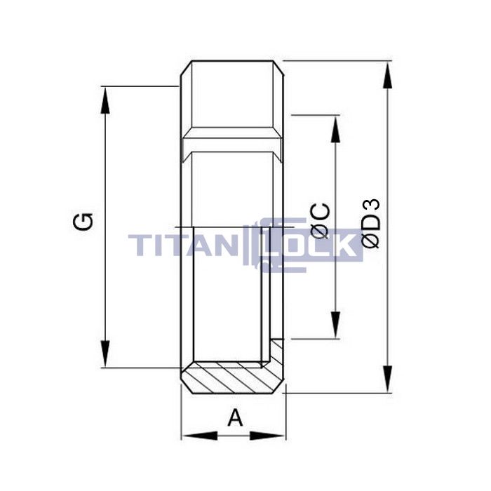 Молочная гайка по стандарту SMS 1/4" нерж. 304 TL1/4NUTS-S TITAN LOCK  - Вид №1