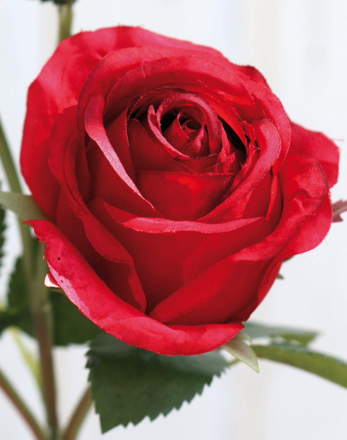 2590 444 a3 Искусственная роза, 2 цветка, 1 бутон, 57 см, красная H-andreas  - Вид №2