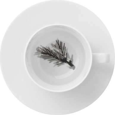 10584553 Hering Berlin Чашка чайная с блюдцем Hering Berlin "Охота" "Ветки хвои" 250мл Фарфор 